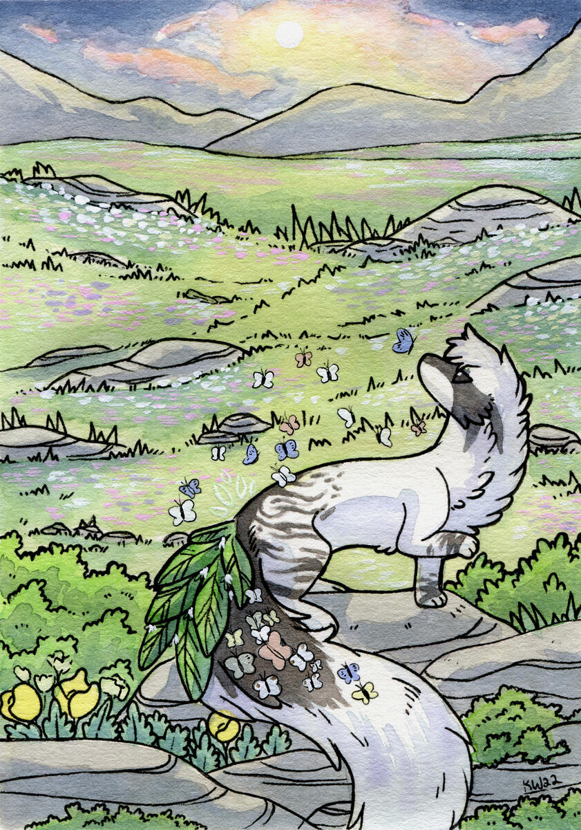 Aira for Dinstaction